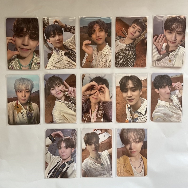 seventeen ラキドロ ディノweverse face the sun | hotelprismacusco.com