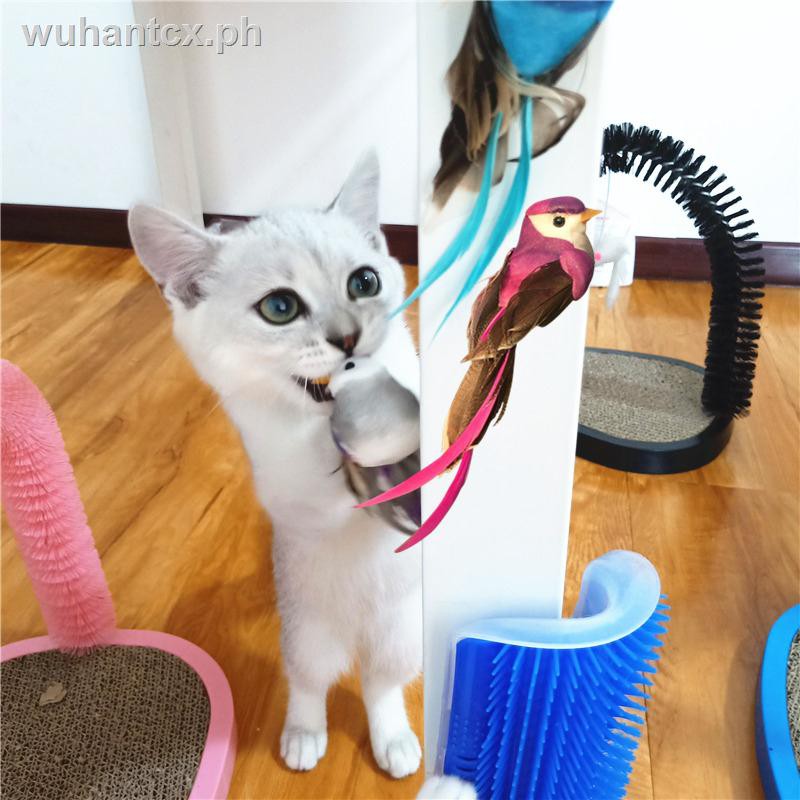blue bird cat toy