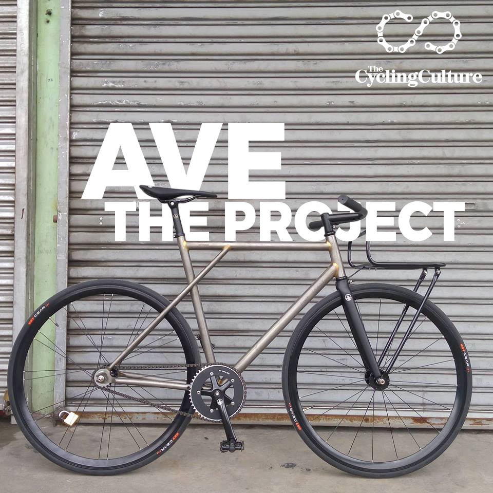 the project bike frame