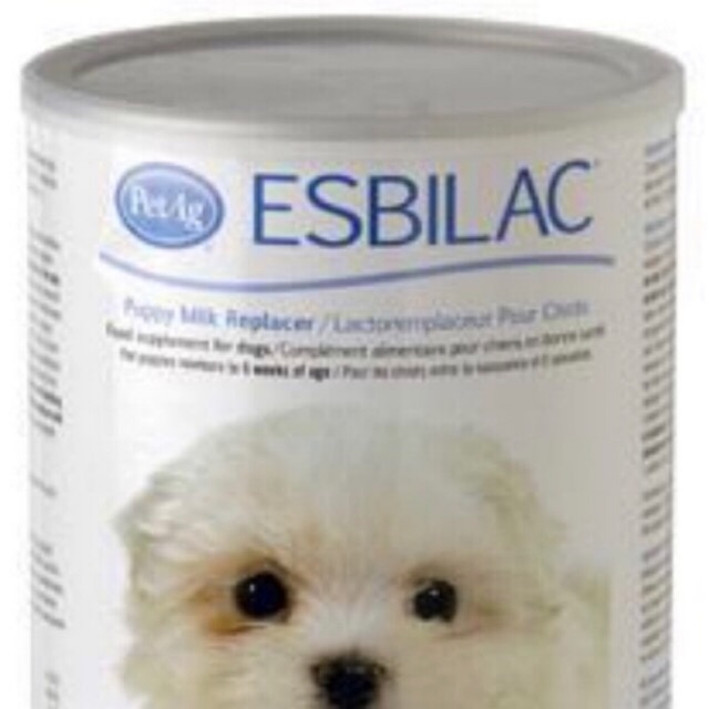 esbilac puppy milk replacer powder