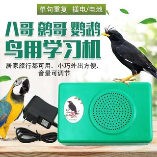Parrot learns to speak artifact bird uses learning machine parrot to teach speaker starling repeat m