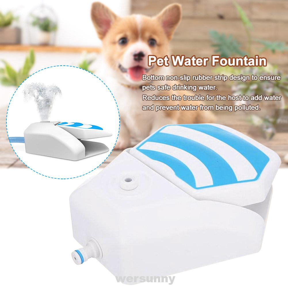 puppy water fountain