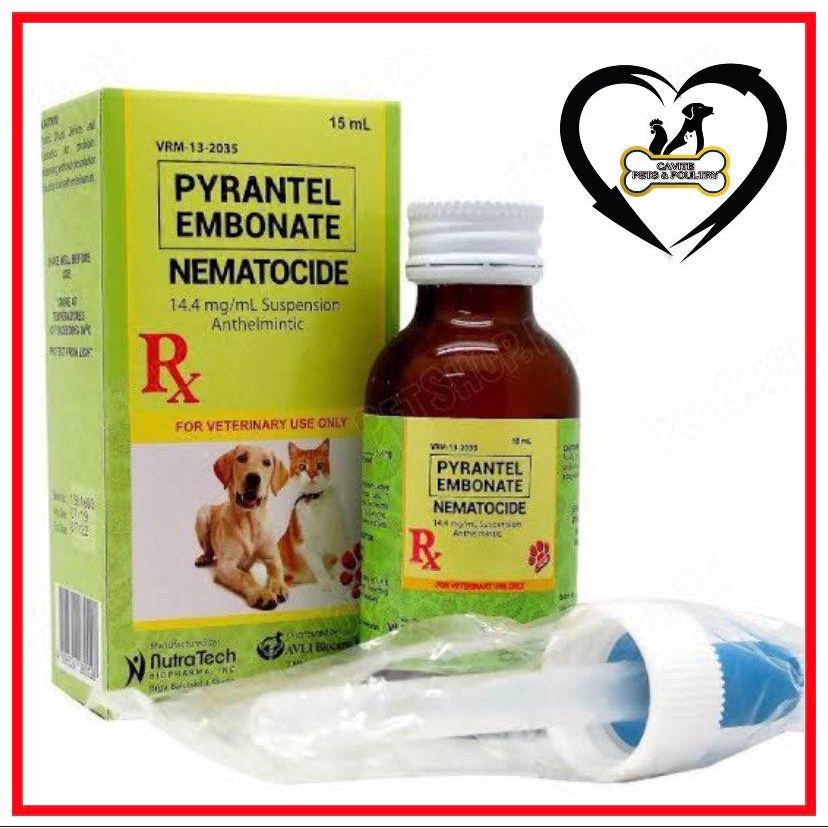 NEMATOCIDE SYRUP DEWORMER FOR DOGS AND CATS 15ML Shopee Philippines