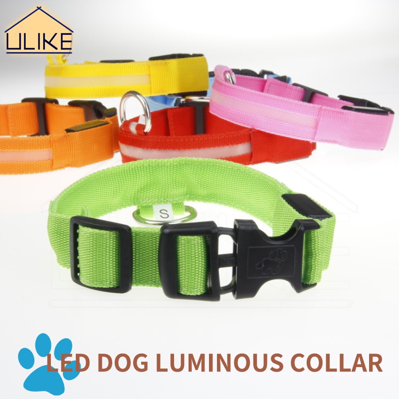 What Is A Safety Ring On A Dog Collar