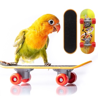 Qiaolis 1Pc Bird Parrot Intelligence Toys Mini Training Skateboard For Budgies Parakeet Growth Toy P
