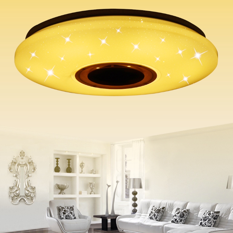 ceiling light and speaker