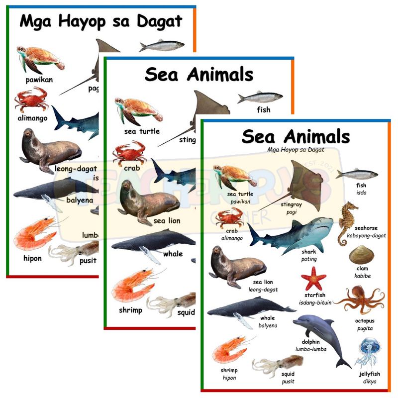 Sea Animals A4 Size Thick Laminated Educational Wall Chart for Kids ...