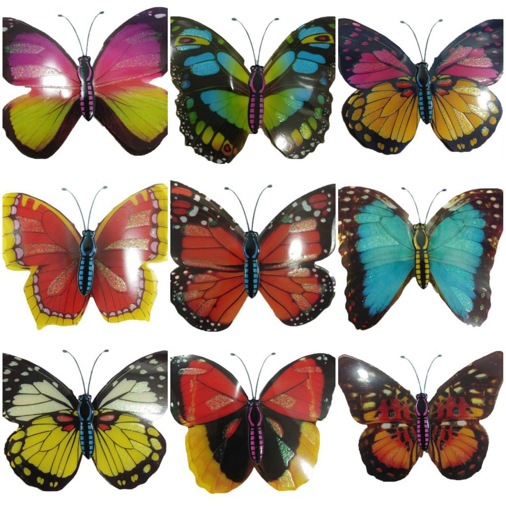 Download Butterfly Wall Sticker 3d Butterfly Paste Big Shopee Philippines