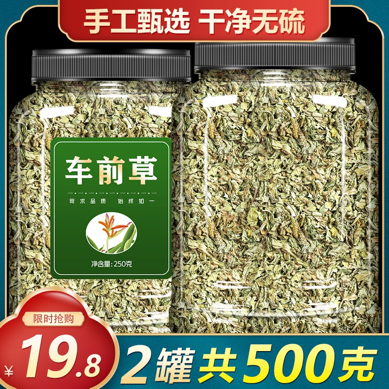 Plantain Herb Fresh Chinese Herbal Medicine Dry Goods Bagged Tea Seeds ...