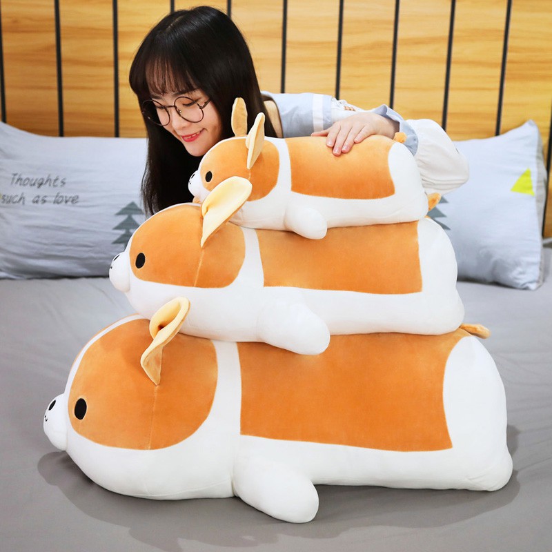 big corgi plush