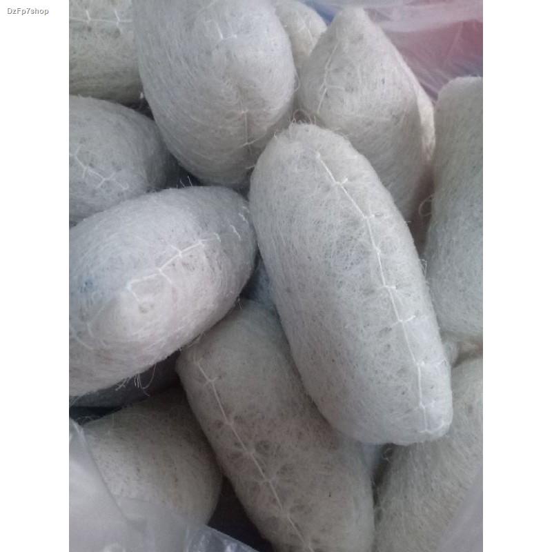 PURE CLOTHES BRUSH(GAWANG BATAAN) Shopee Philippines