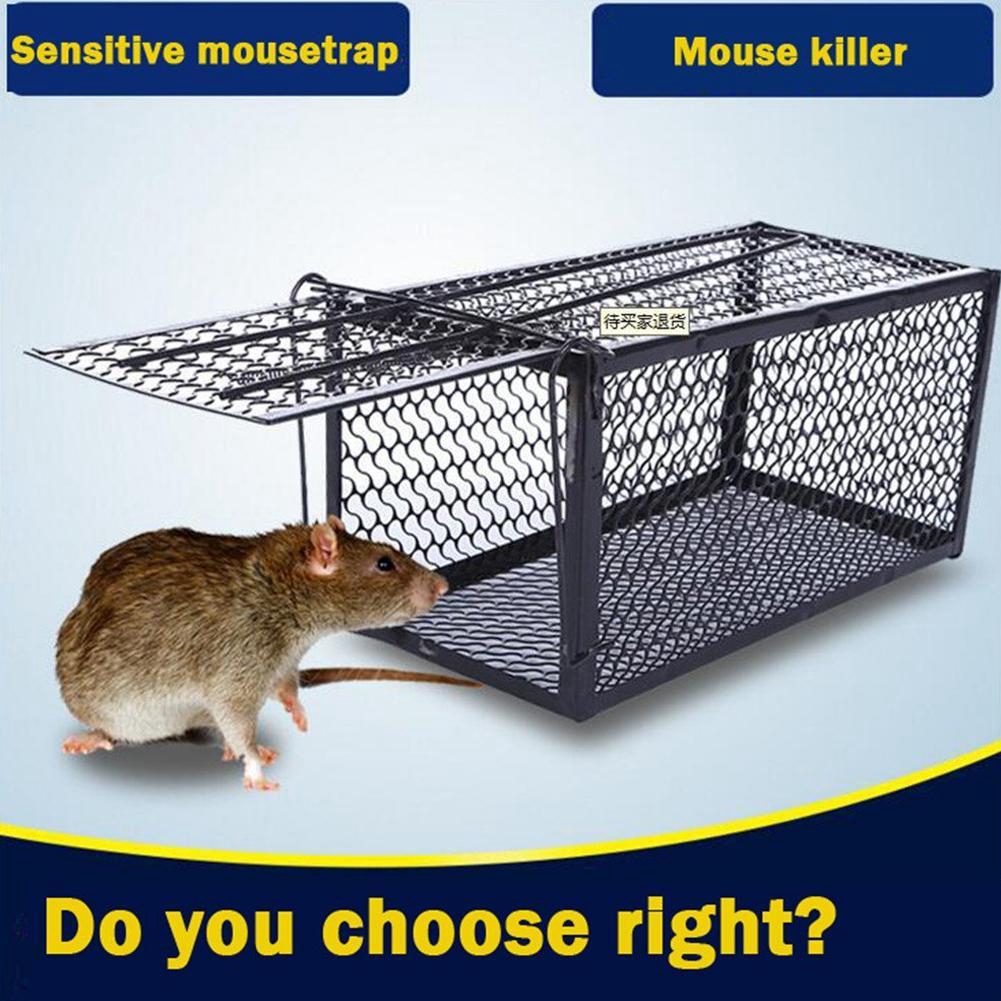 mouse trap metal box