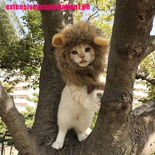 【EPPH】Pet dog hat costume lion mane wig for cat halloween dress up with ears