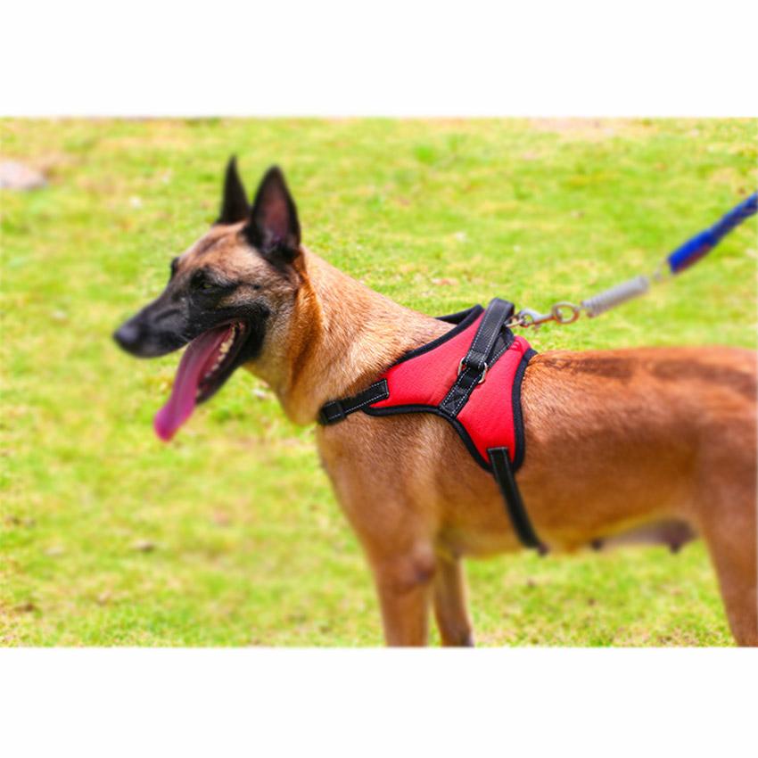 （hot）Nylon Heavy Duty Dog Pet Harness Collar K9 Padded Extra Big Large Medium Small Harnesses vest H #5