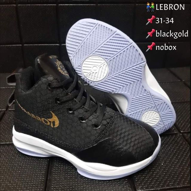 lebron james shoes xv