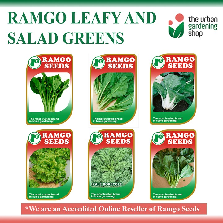 LEAFY AND SALAD GREENS by Ramgo Seeds/ THE URBAN GARDENING SHOP