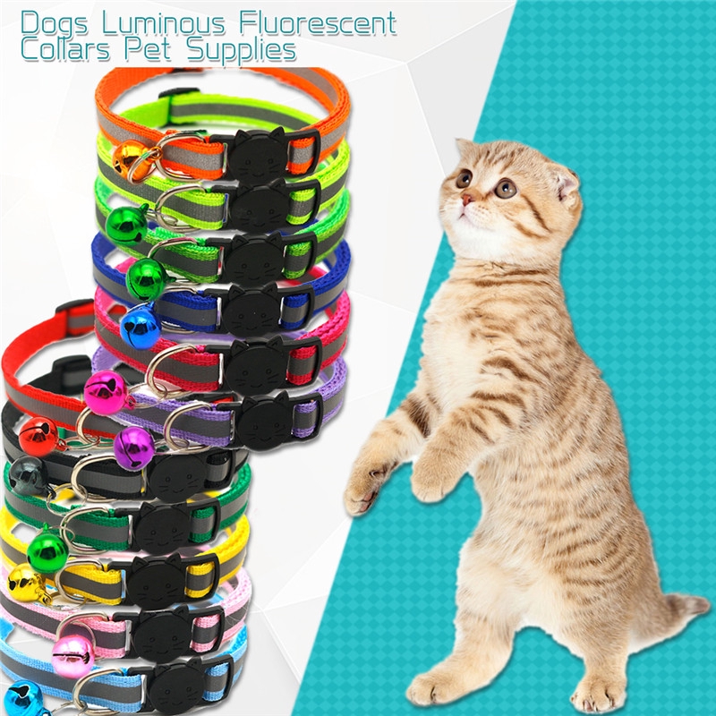 pet supplies and accessories