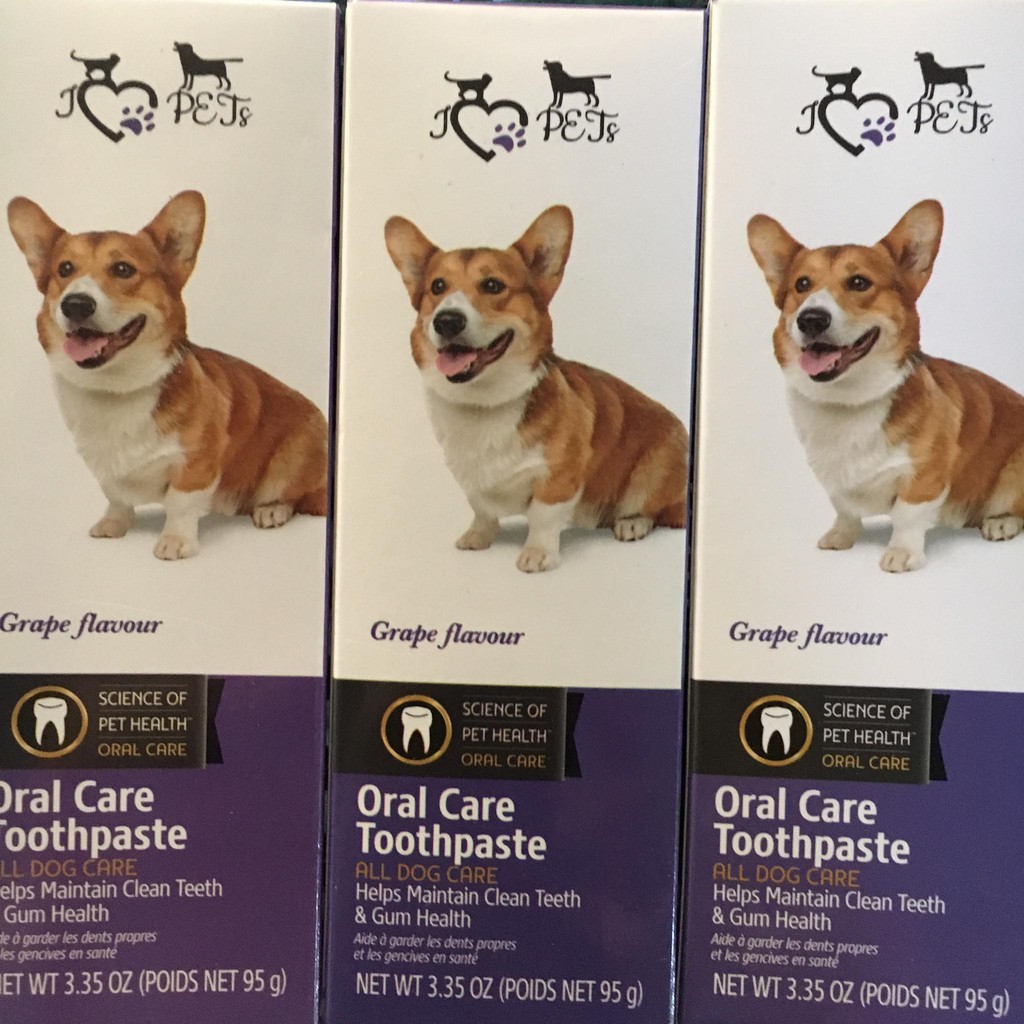 Oral Care Toothpaste (Grape Flavor) for Dogs Shopee Philippines