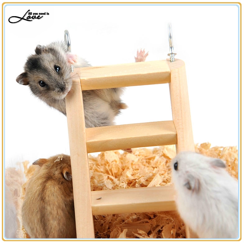 hamster ladder pets at home