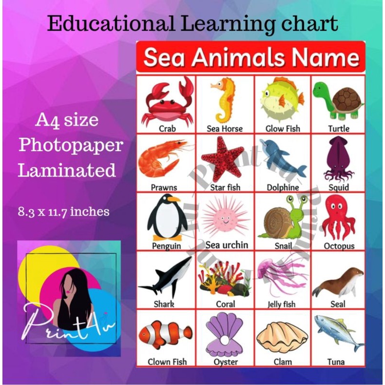 Sea Animals Chart Kids learning materials Laminated - A4 | Shopee Philippines