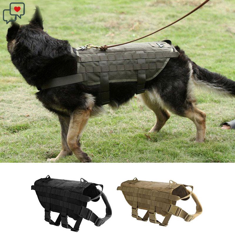tactical training for dogs