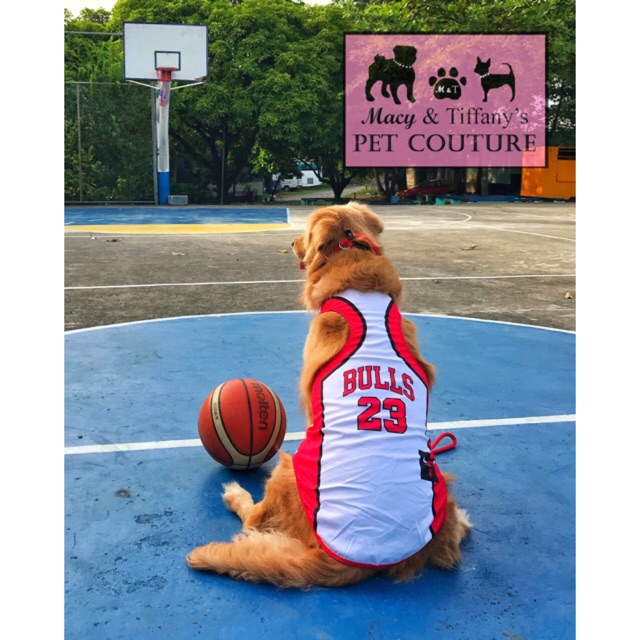 dog basketball jersey