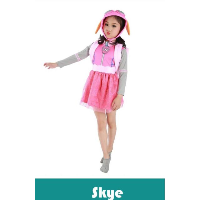skye paw patrol costume