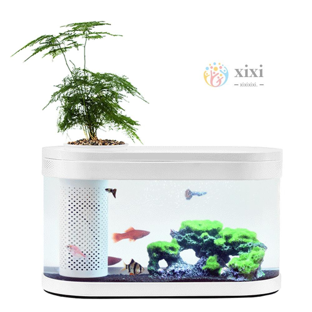 xi geometry fish tank aquaponics ecosystem small water