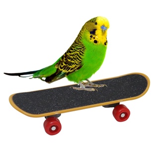 1 Pcs Mini Skateboard Pet Bird Training Parrot Funny Intelligence Tool For Parakeet Cockatiels Training supplies
