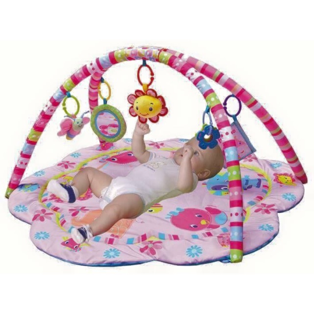 carter's play gym