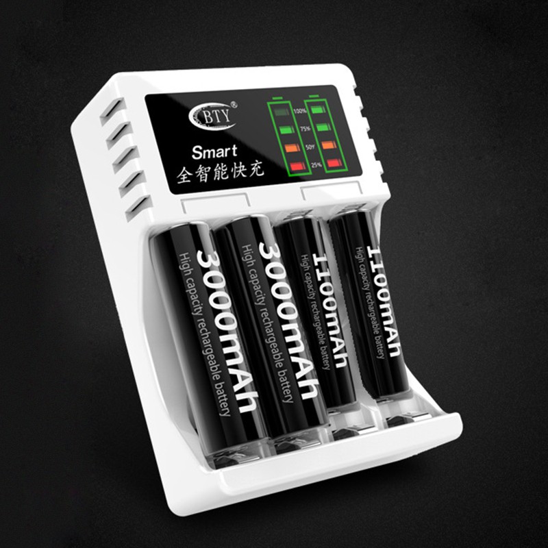 battery charger and rechargeable batteries