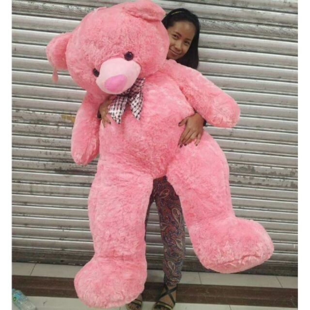 life size teddy bear divisoria