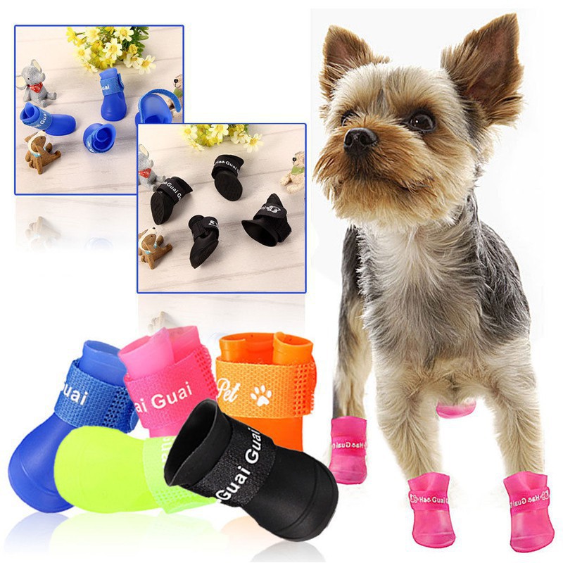 dog rain boots
