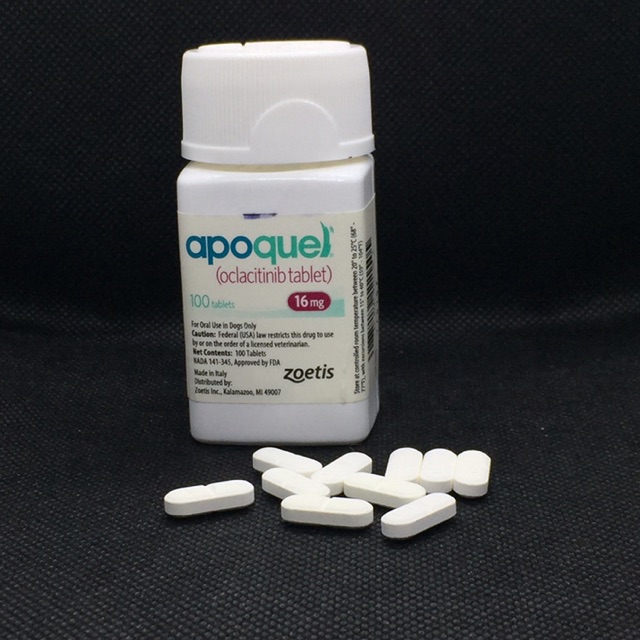 best price for apoquel 16 mg