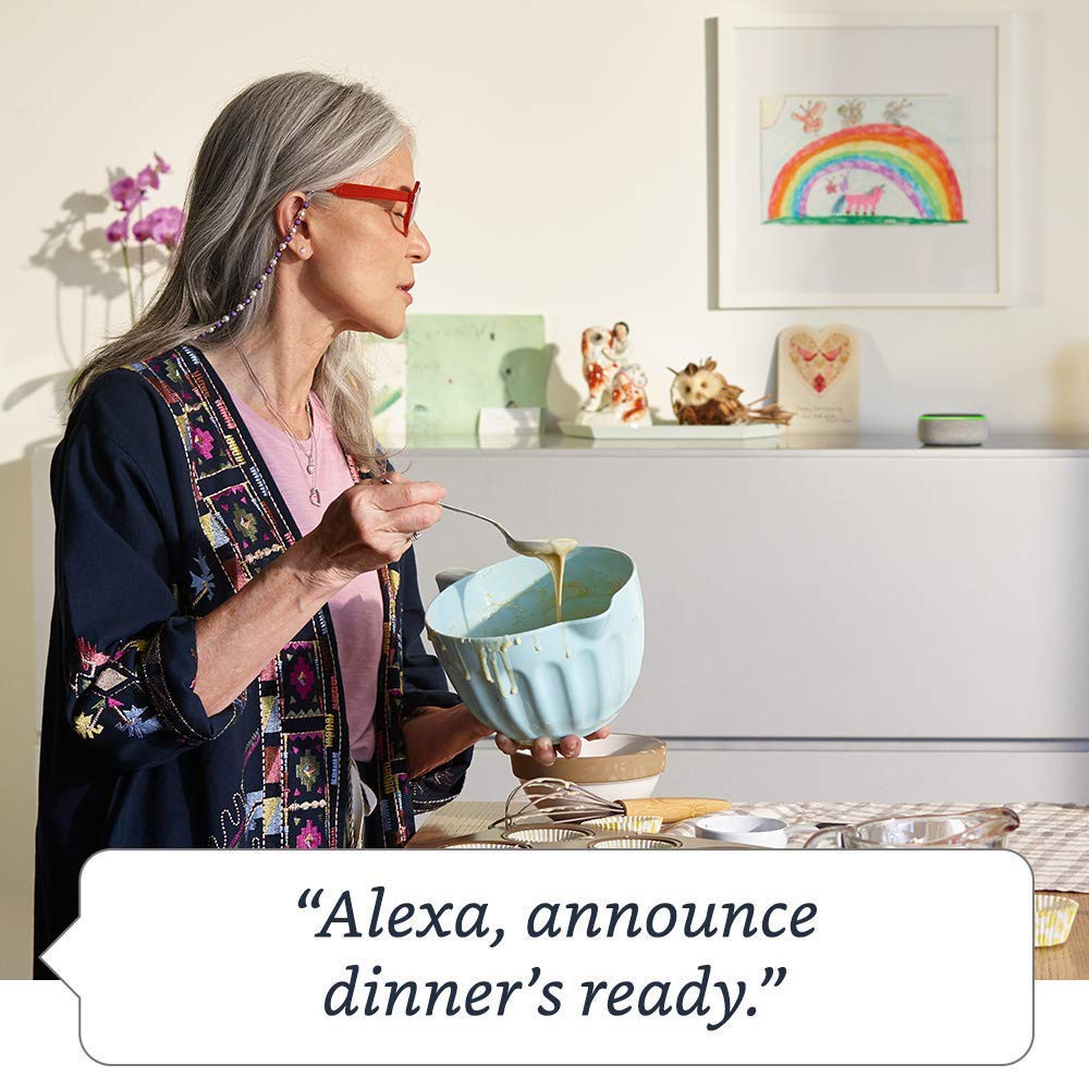 echo dot bundle with smart plug