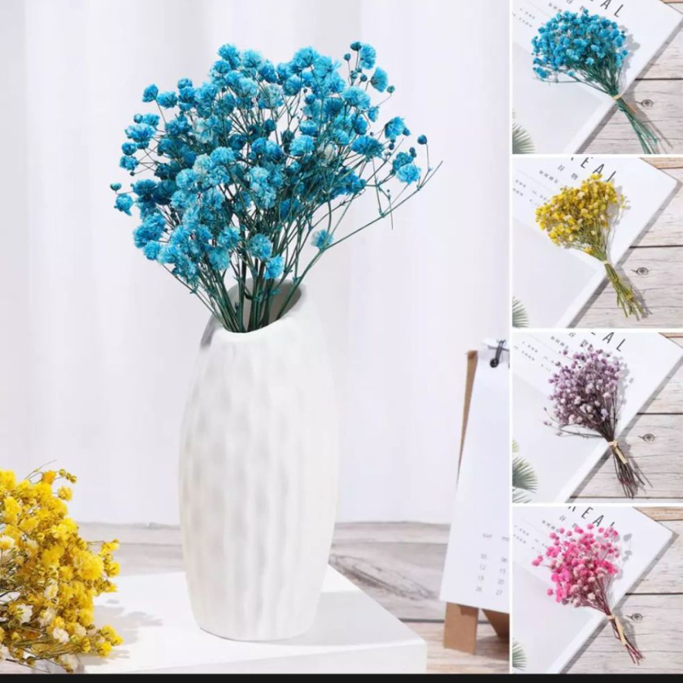 Dried Minnie Gypsophila/ Preserved Flowers/dried flowers Shopee