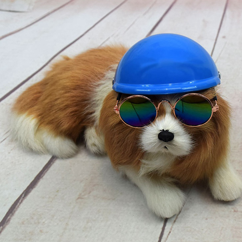small dog helmet