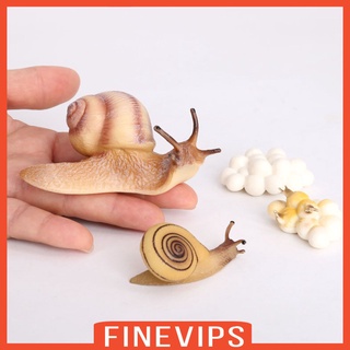biology - Educational Toys Best Prices and Online Promos - Toys, Games &  Collectibles Feb 2023 | Shopee Philippines