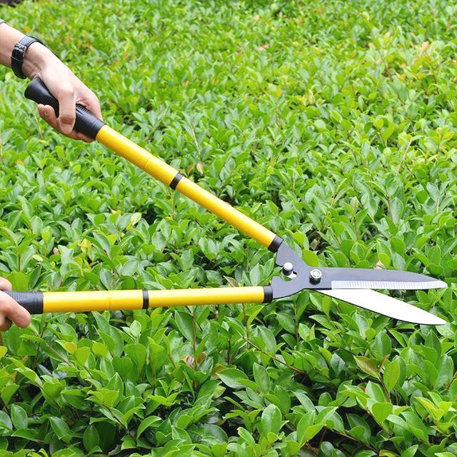 Merchandise.Ph Pruning Scissors Garden Tools Telescopic Lawn Shears