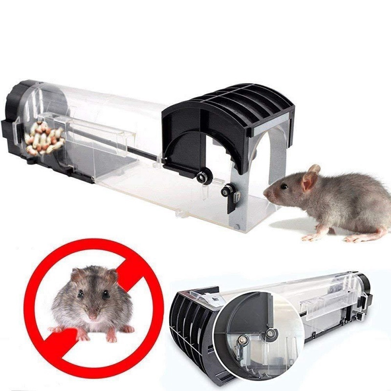 live mouse trap