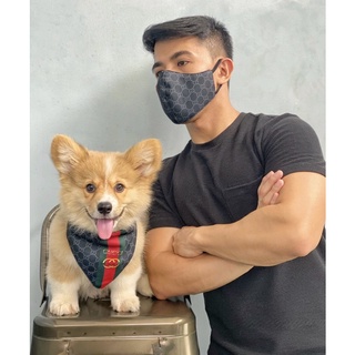 Pet Scarf / Pet Bandana (Designer Prints) for Dogs & Cats #3