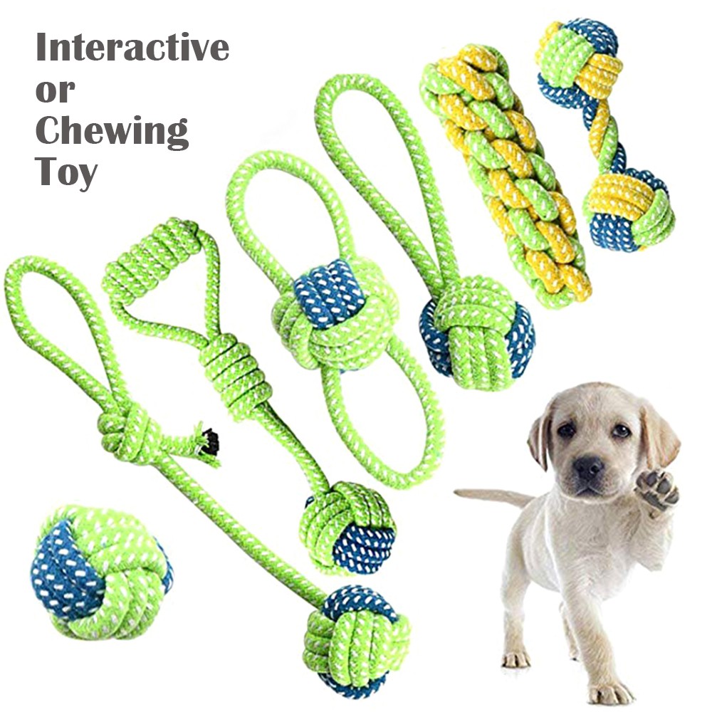 outdoor toys for small dogs