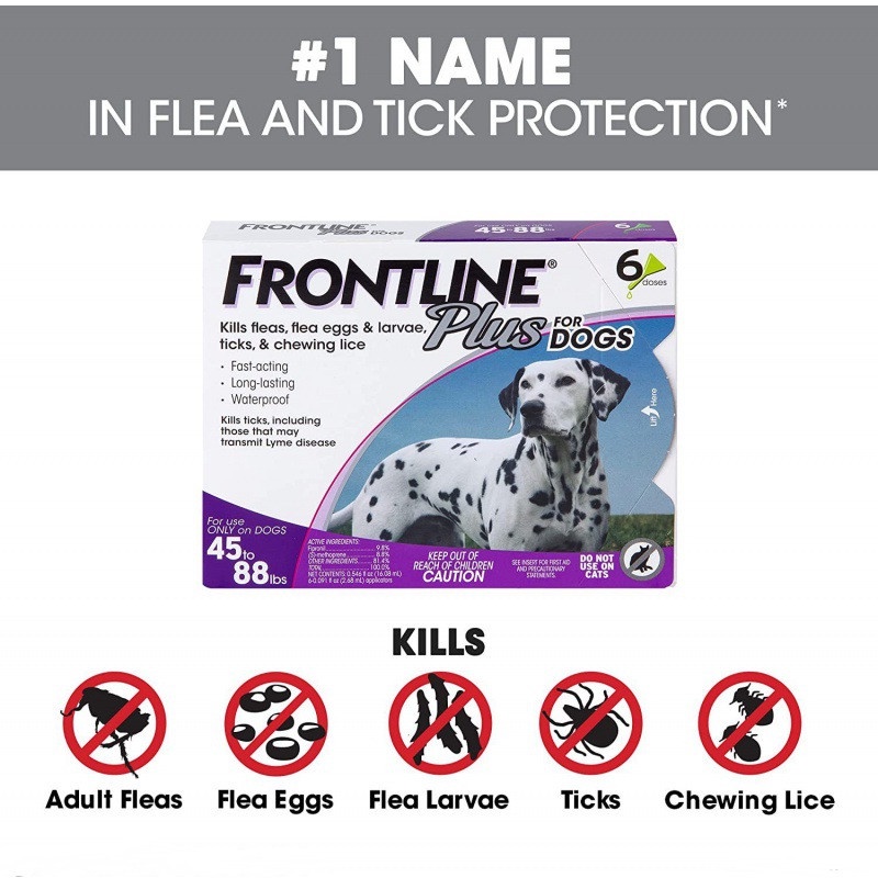 Frontline Plus for Dogs Cats Flea and Tick Spot Treatment Repellent Anti-Flea Anti-Itching 1piece #9