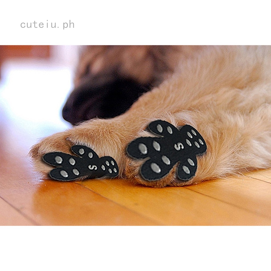 paw pad protector