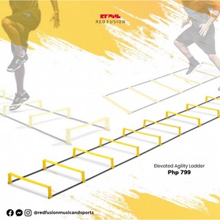 elevated agility ladder