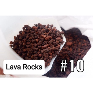 Aquarium Pebbles Black Sand sea shells Lava Rock Marble Chips 1kg #4