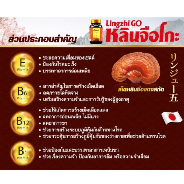 Lingzhiko 30 Capsules A Dietary Supplement From Red Reishi Lucidum Extract Mixed With Vitamins Impor