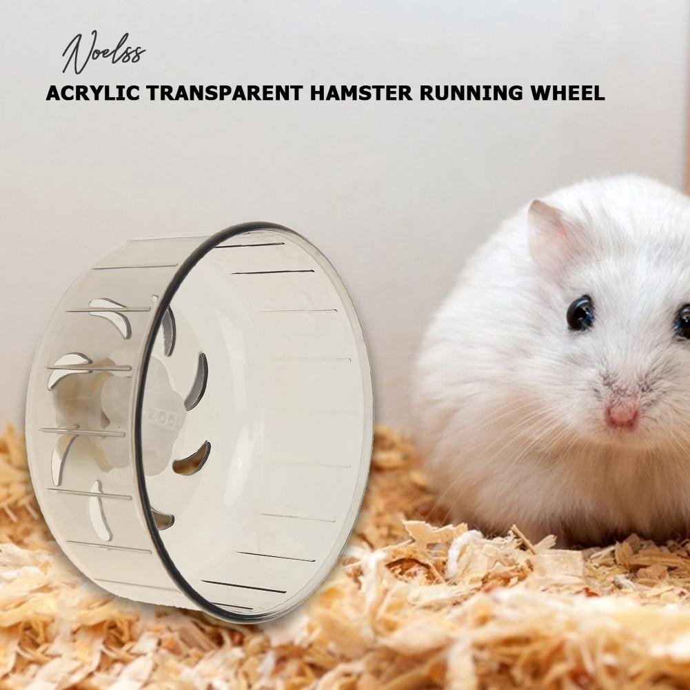 hamster wheel treadmill