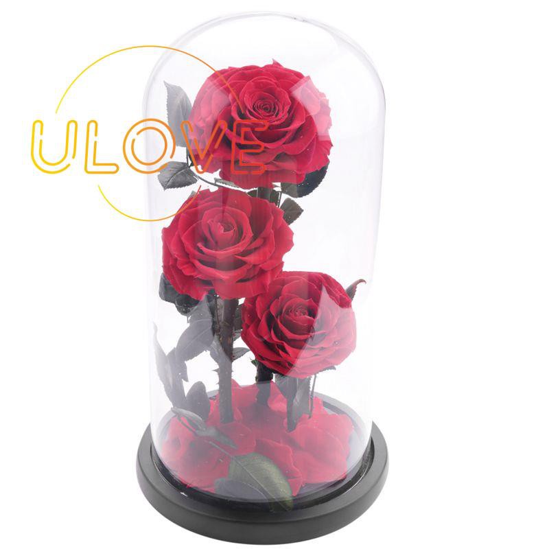 Eternal Flowers Dried Flowers Preserved Fresh Flower Glass Dome Red Shopee Philippines