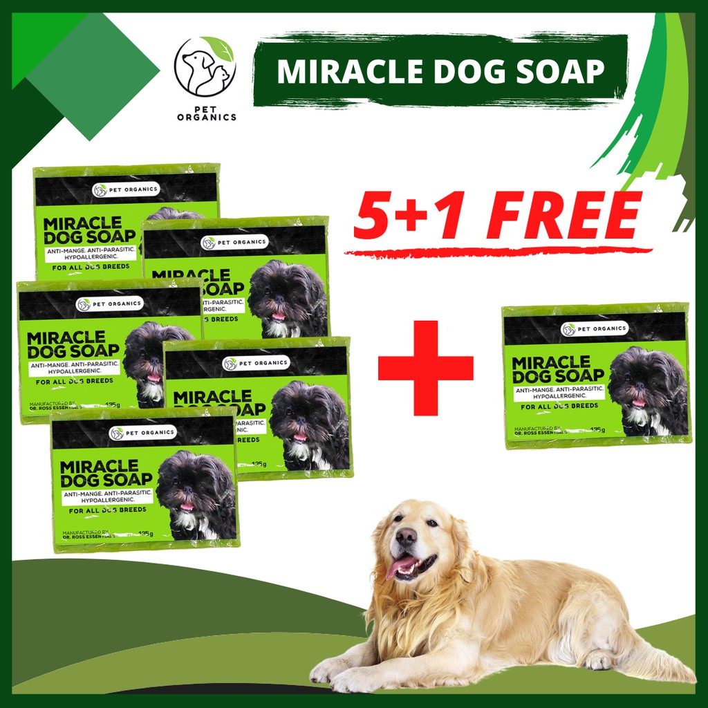 what soap is best for dogs